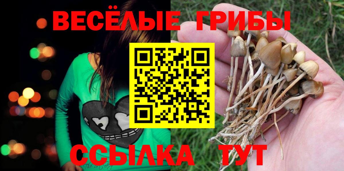 Псилоцибиновые грибы мухоморы Донской